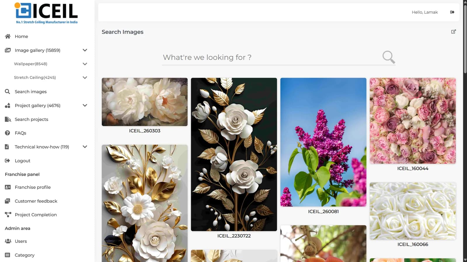 ICeil franchise portal image search screen with a gallery of stretch-ceiling installation photographs.